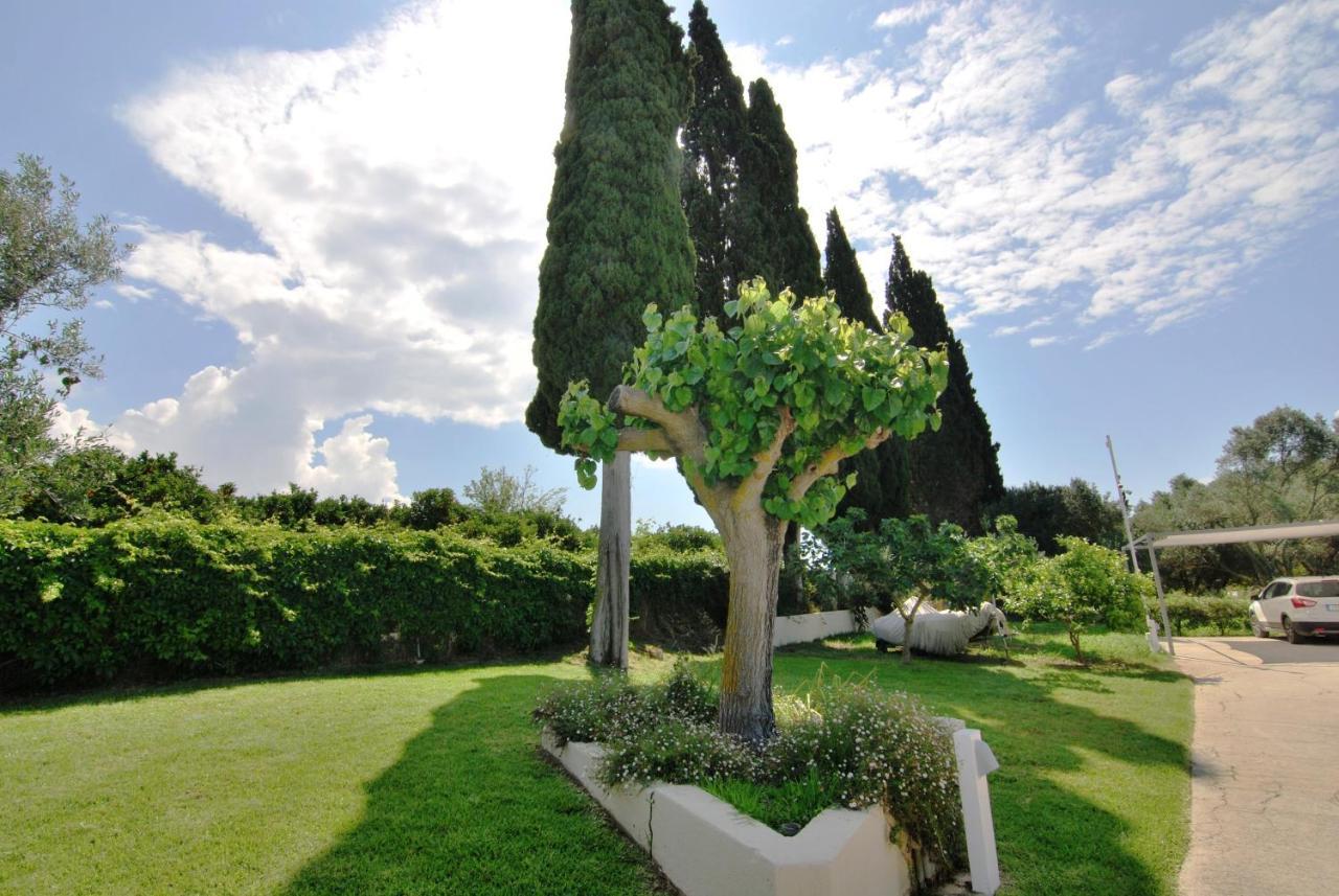 Cypress Garden Villas スヴォロナータ エクステリア 写真